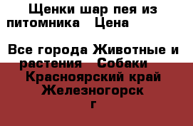 Щенки шар-пея из питомника › Цена ­ 15 000 - Все города Животные и растения » Собаки   . Красноярский край,Железногорск г.